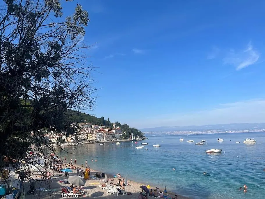 Traumhafte Villa Dubi Bei Labin Labin (Istria)
